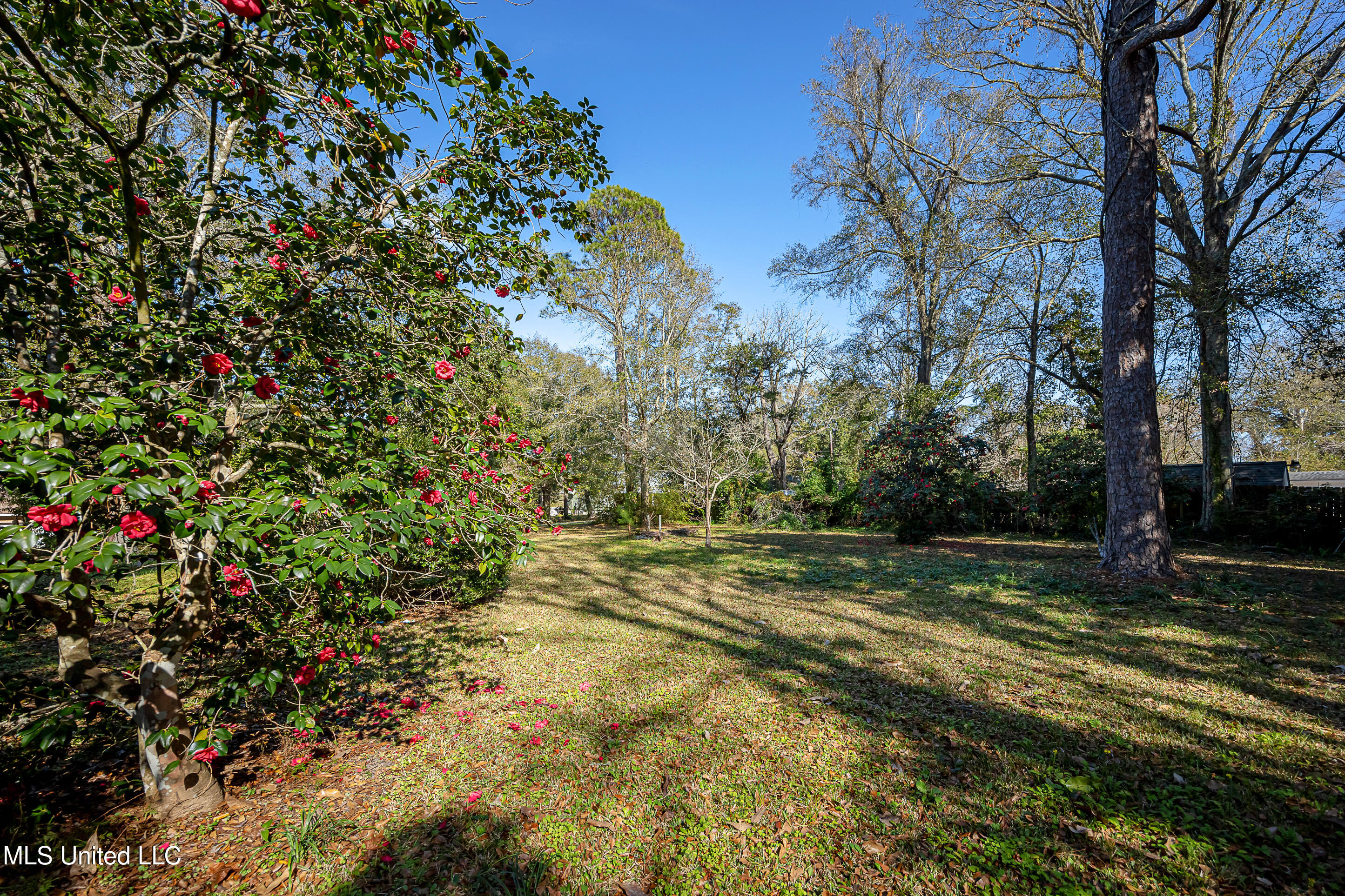 4019 Bellview Avenue Moss Point, MS 39563 - Photo 18 of 89 IMG_3784