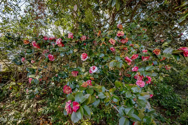 $275,000 | 4019 Bellview Avenue, Moss Point, MS 39563