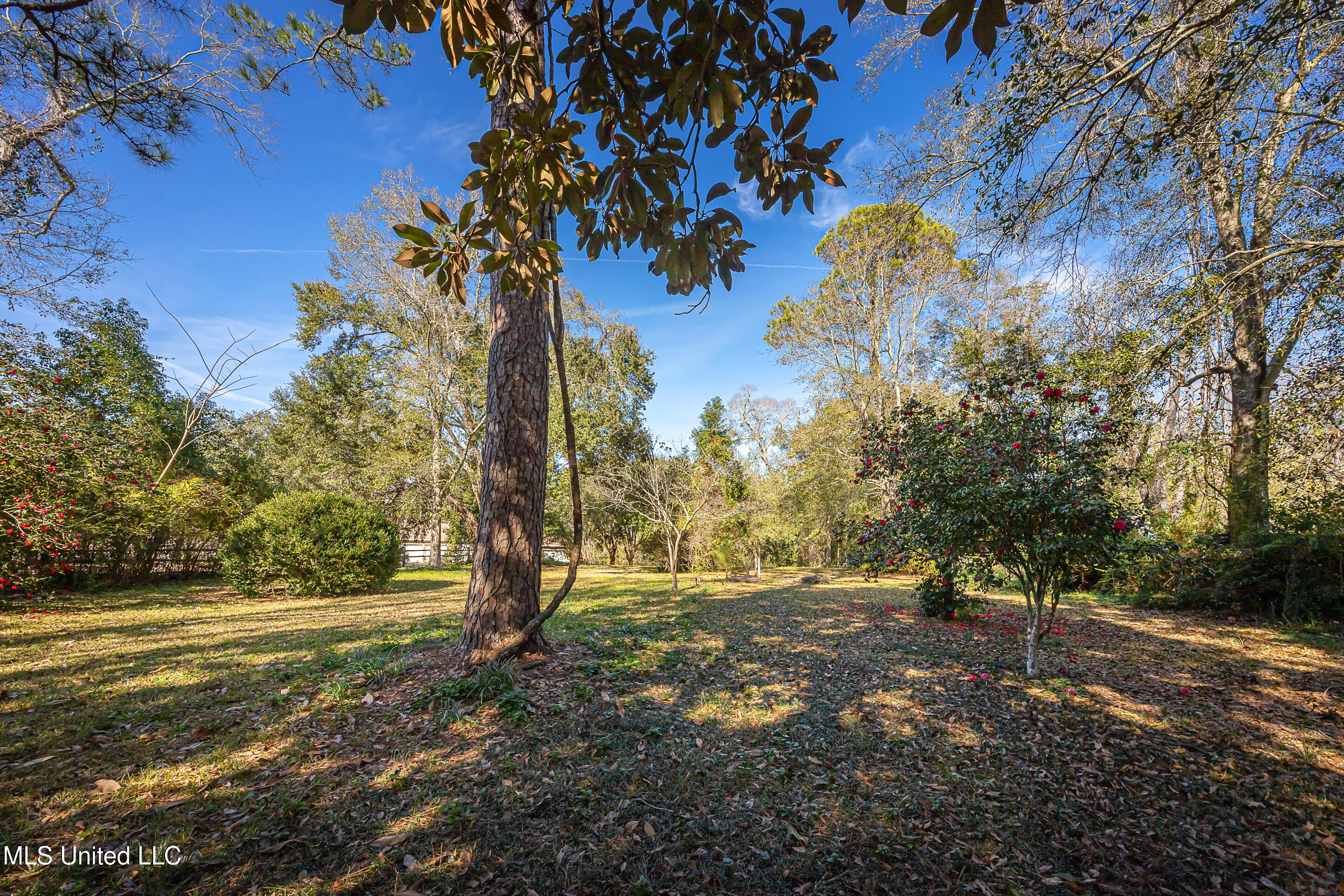 4019 Bellview Avenue Moss Point, MS 39563 - Photo 81 of 89 IMG_3808