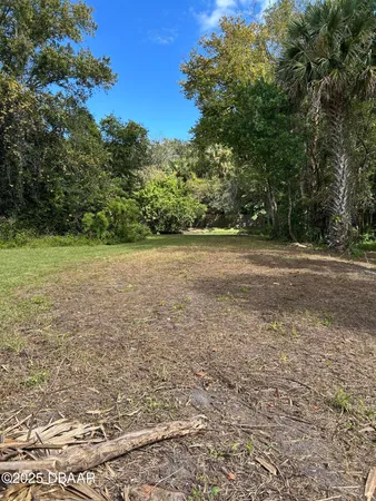 a view of a yard with a tree