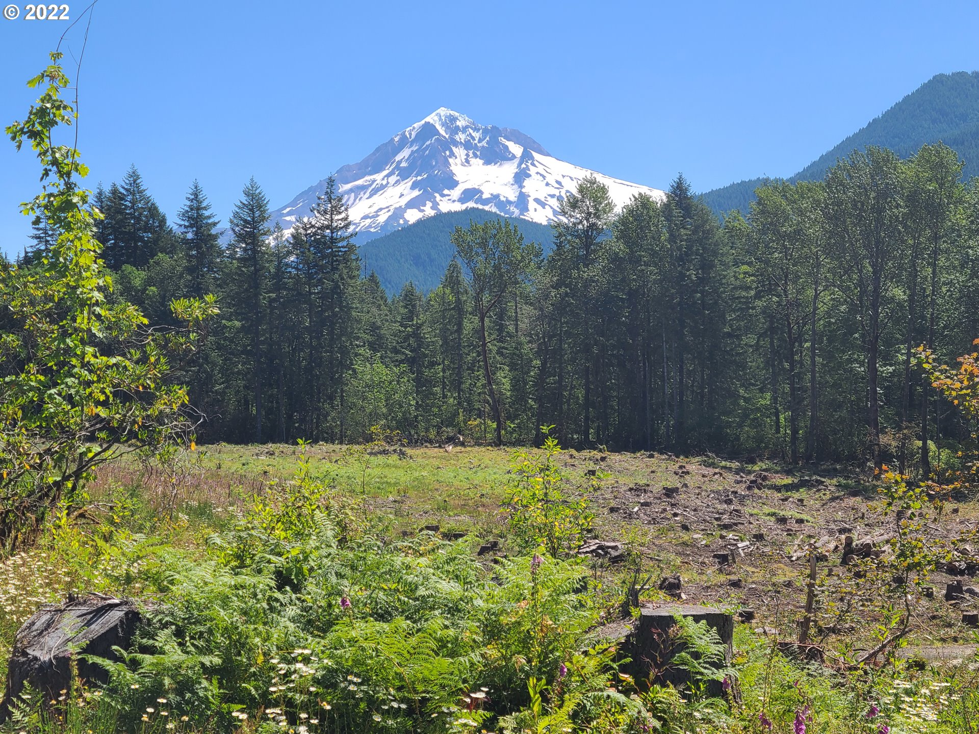 20185 East Lolo Pass Road Rhododendron, OR 97049 - Photo 1 of 15 Gallery Image 1
