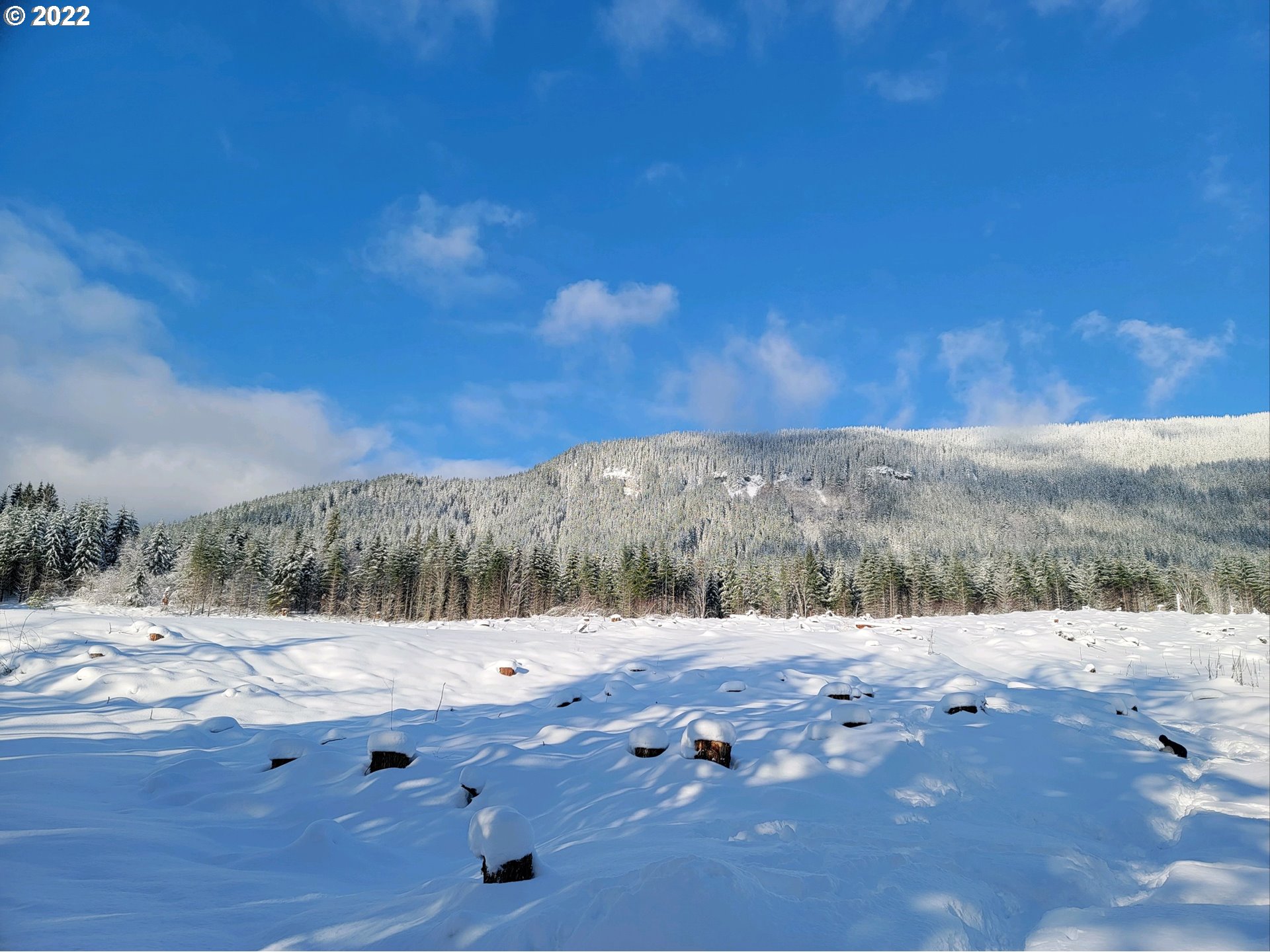 20185 East Lolo Pass Road Rhododendron, OR 97049 - Photo 14 of 15 Gallery Image 14