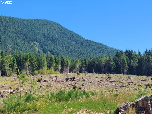 20185 East Lolo Pass Road Rhododendron, OR 97049 - Photo 2 of 15 Gallery Image 2