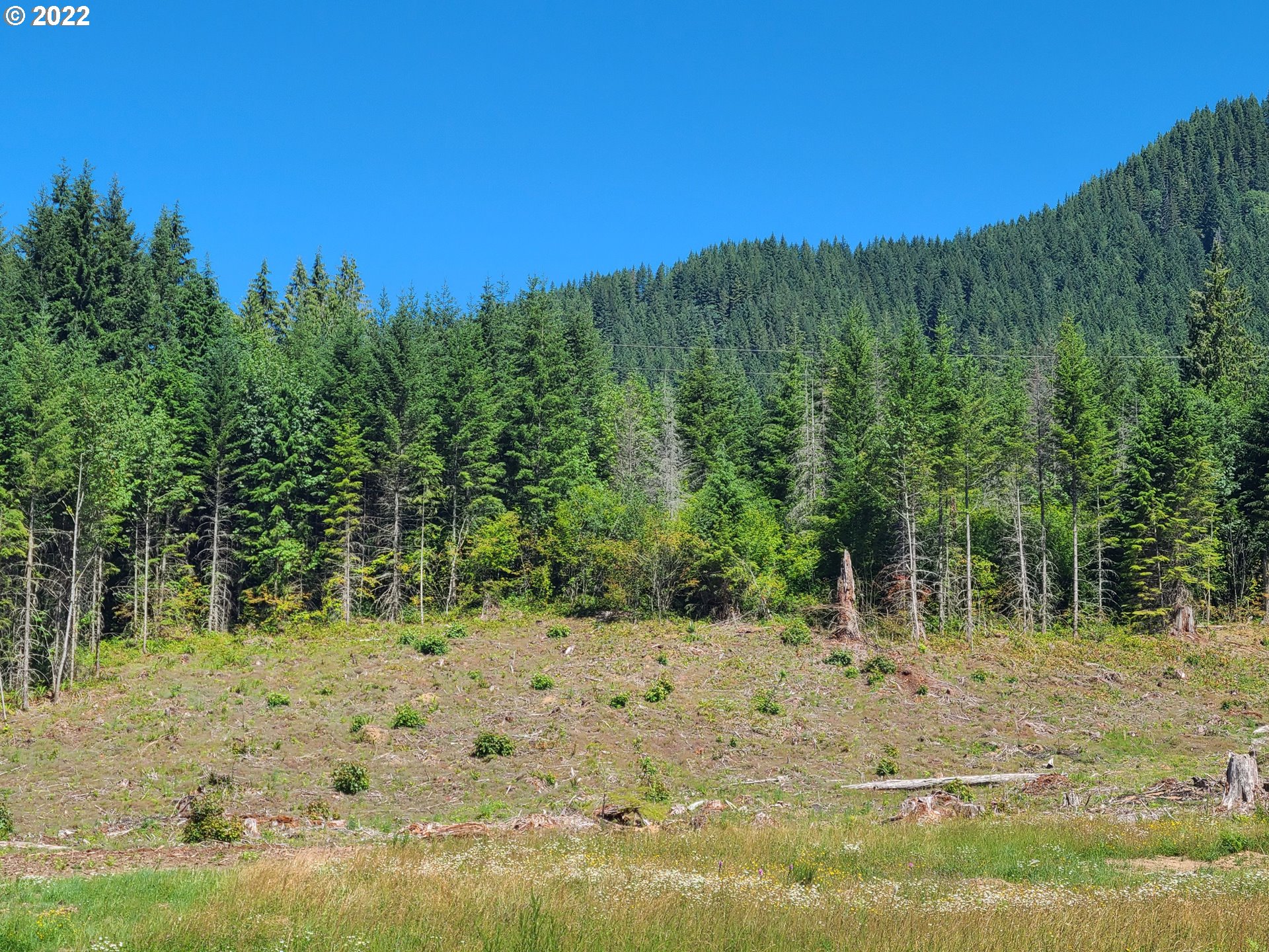 20185 East Lolo Pass Road Rhododendron, OR 97049 - Photo 3 of 15 Gallery Image 3