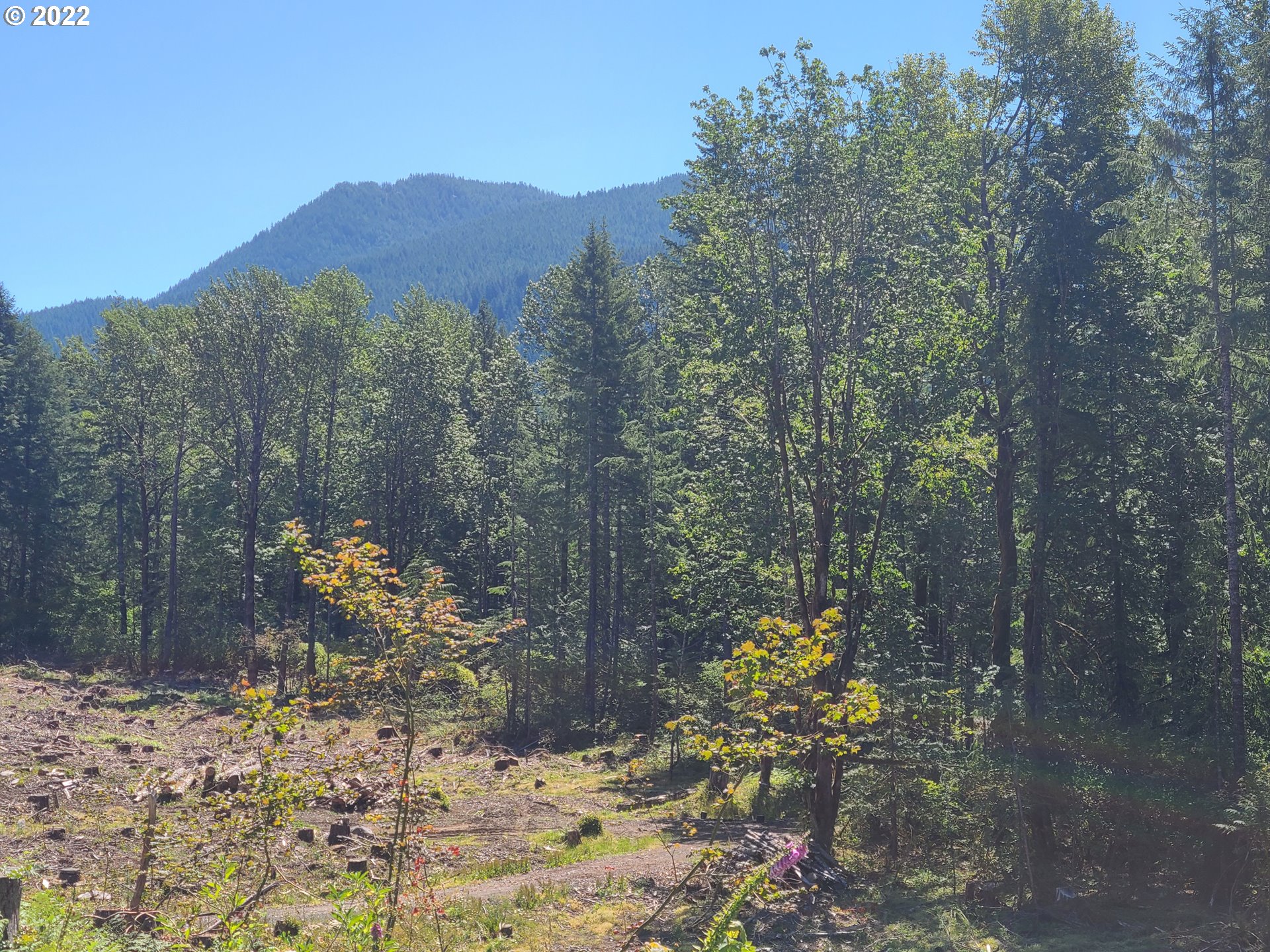 20185 East Lolo Pass Road Rhododendron, OR 97049 - Photo 4 of 15 Gallery Image 4
