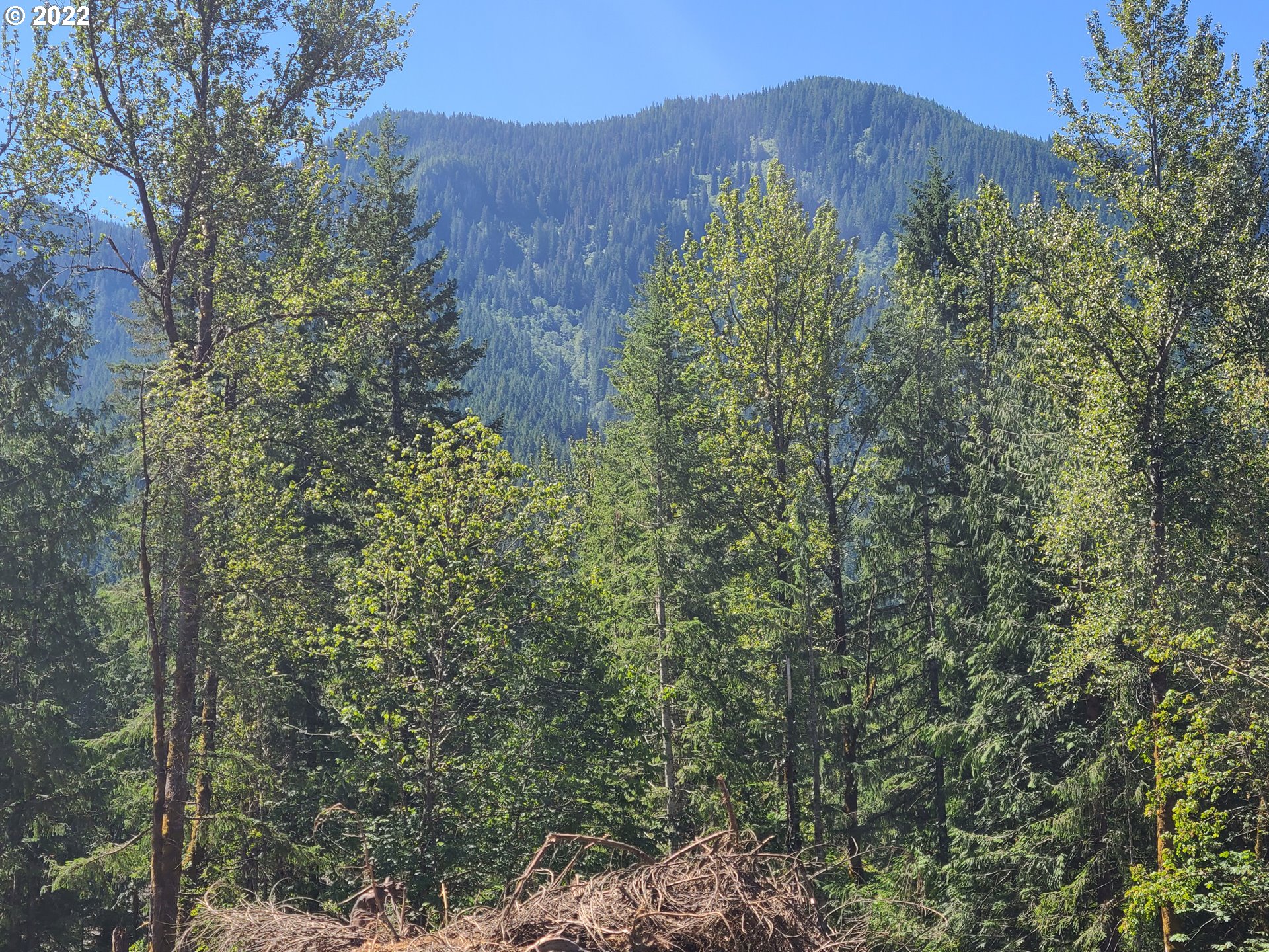 20185 East Lolo Pass Road Rhododendron, OR 97049 - Photo 5 of 15 Gallery Image 5