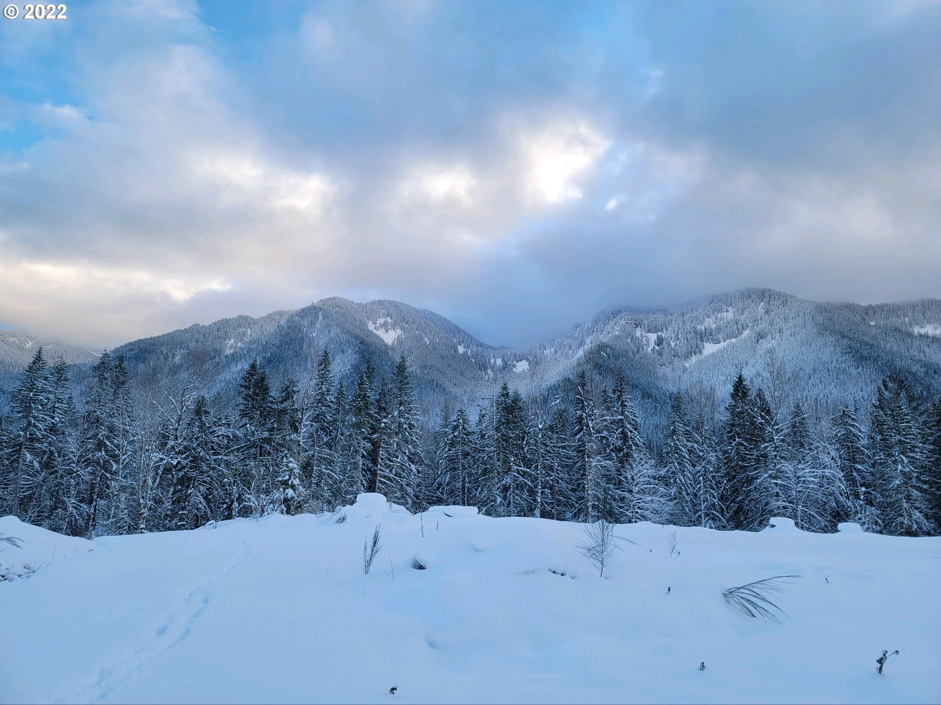 20185 East Lolo Pass Road Rhododendron, OR 97049 - Photo 8 of 15 Gallery Image 8