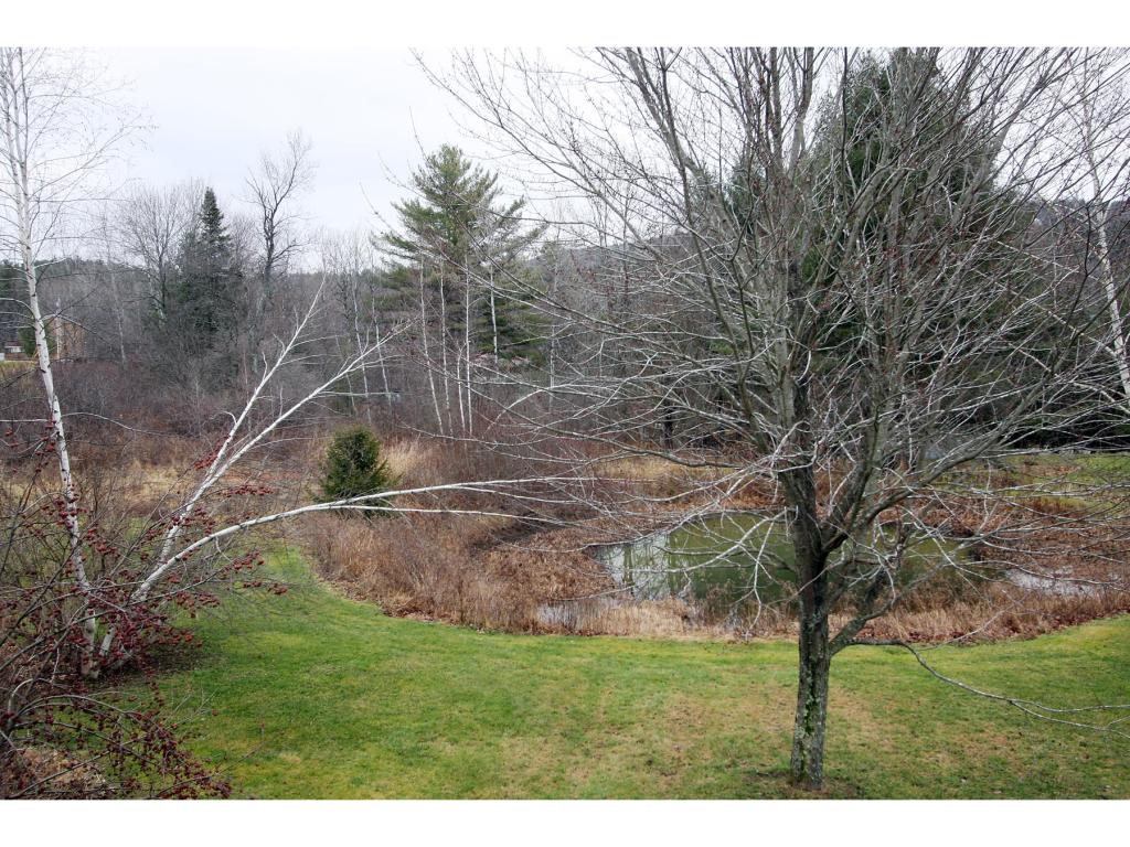 78 Cady Hill Road Stowe, VT 05672 - Photo 3 of 32 Gallery Image 3