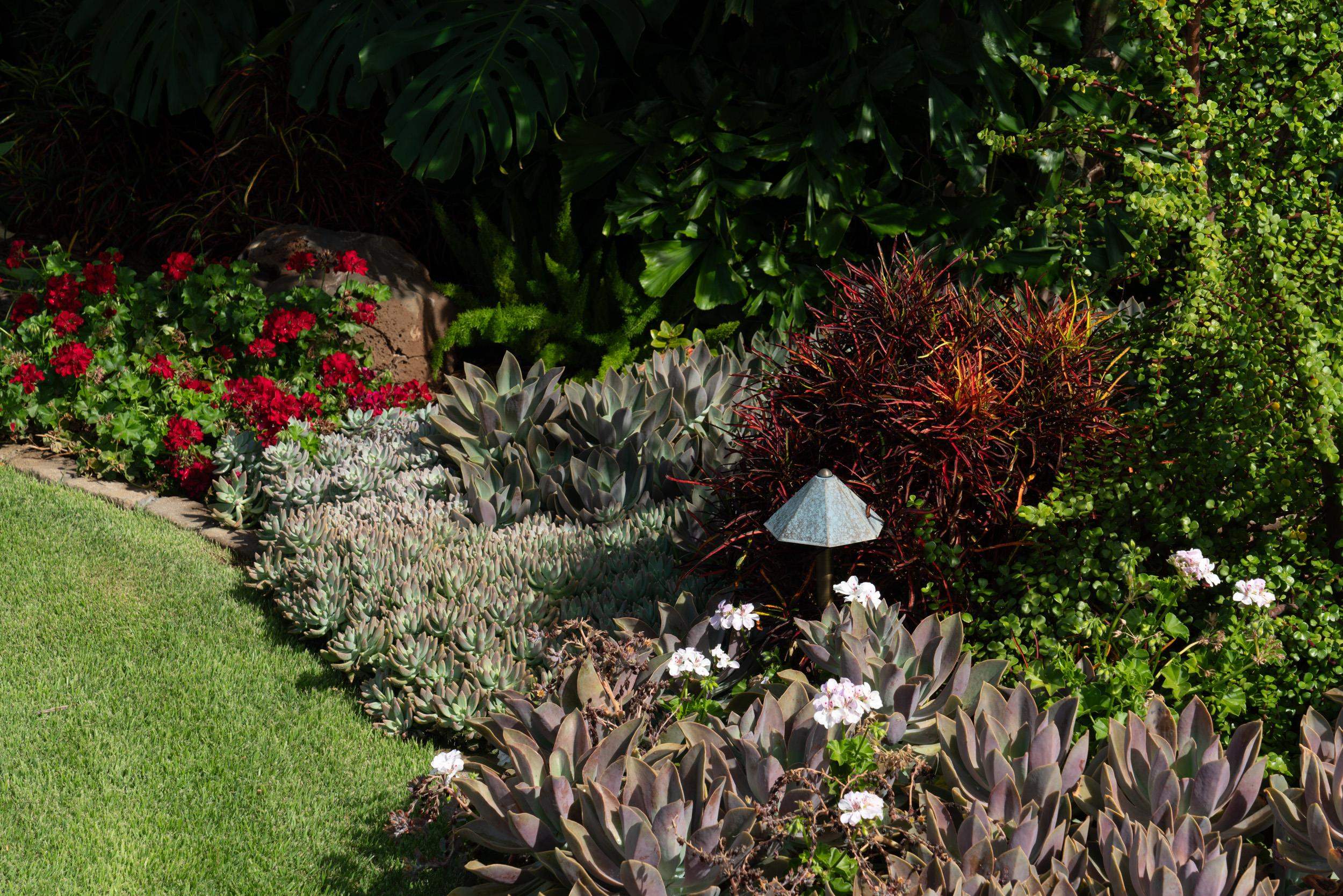 126 Hoomaikai Place Kula, HI 96790 - Photo 12 of 50 a view of flowers in the garden