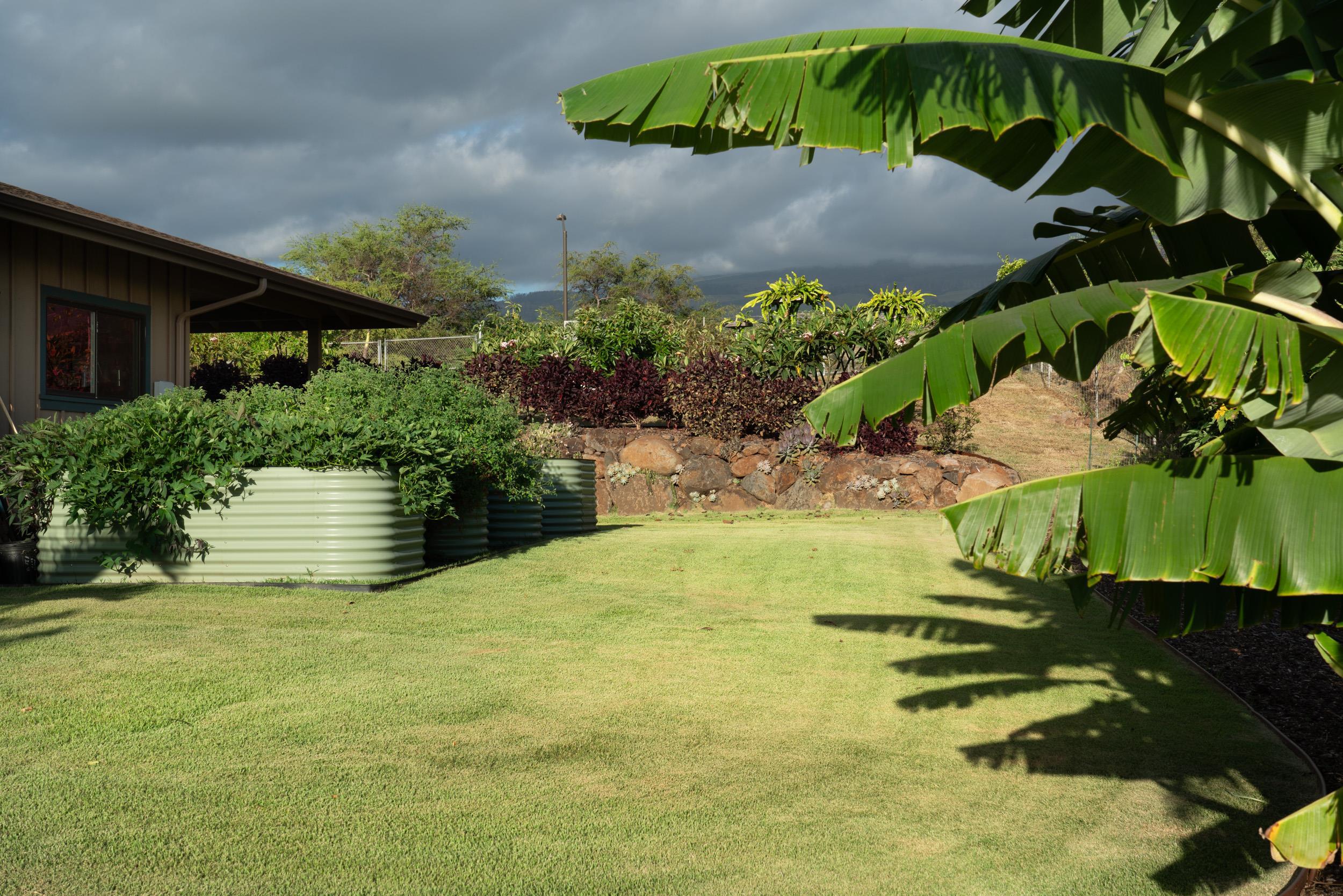 126 Hoomaikai Place Kula, HI 96790 - Photo 33 of 50 a view of a garden