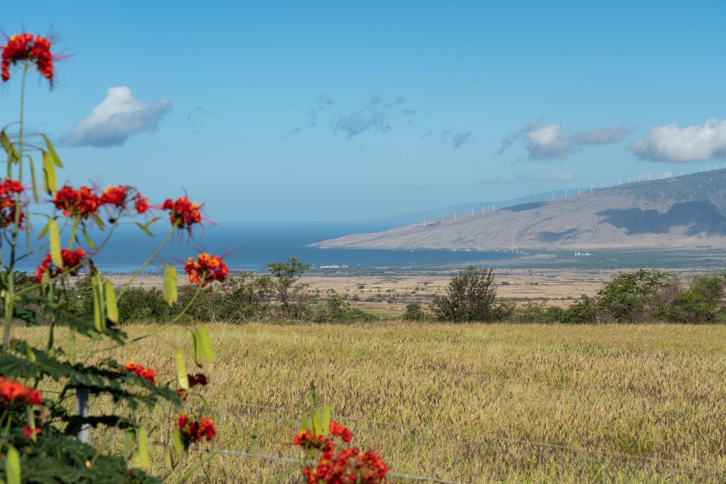 126 Hoomaikai Place Kula, HI 96790 - Photo 36 of 50 a view of an outdoor space