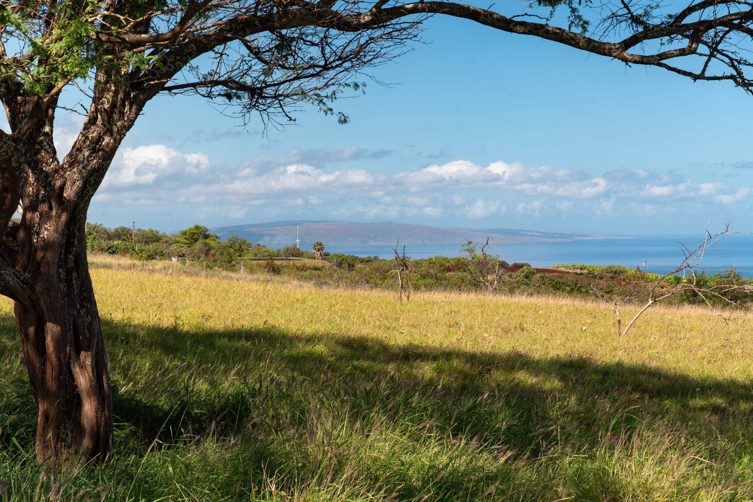 126 Hoomaikai Place Kula, HI 96790 - Photo 38 of 50 a view of an ocean and a mountain view