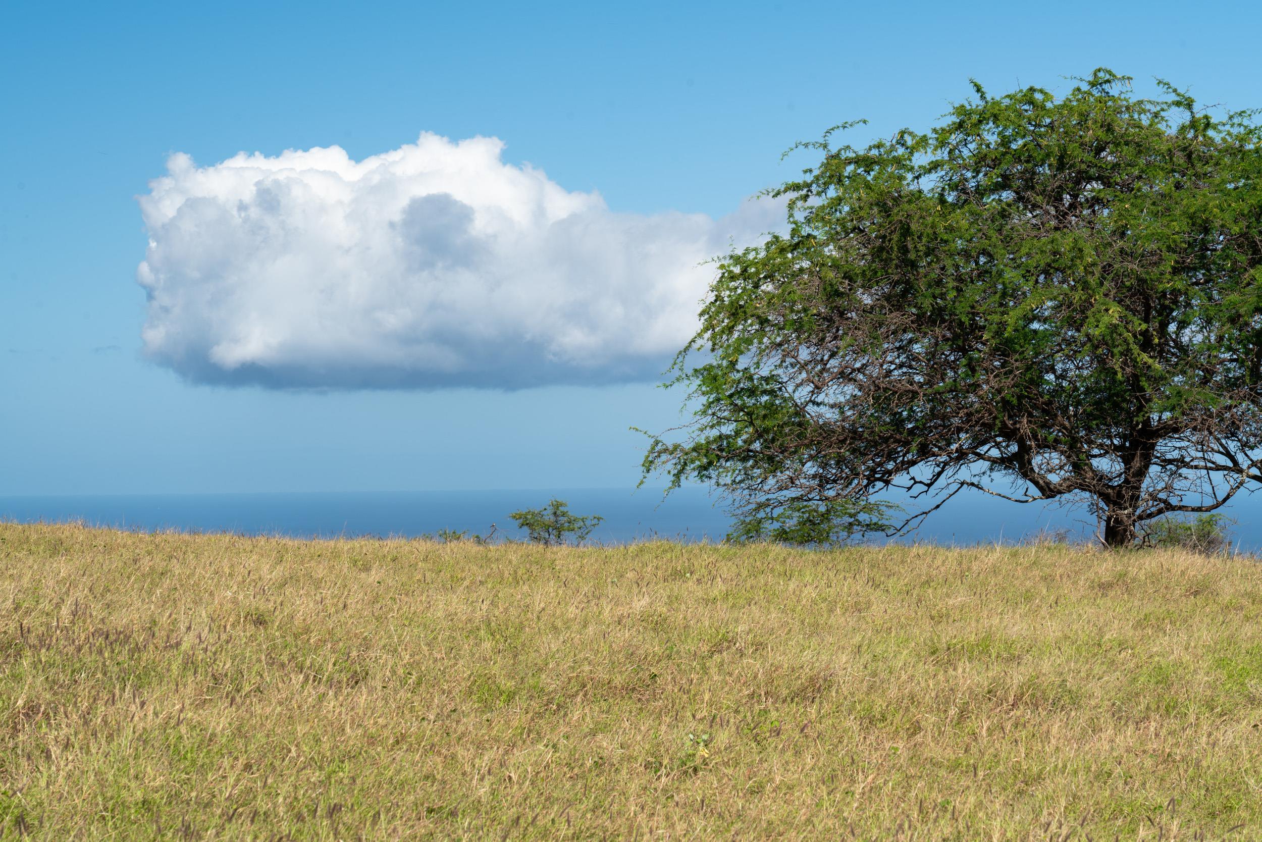 126 Hoomaikai Place Kula, HI 96790 - Photo 39 of 50 a view of lake view and mountain view
