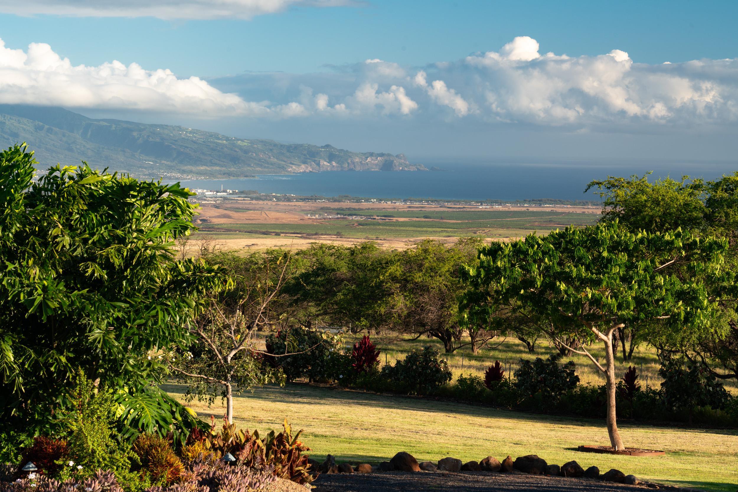 126 Hoomaikai Place Kula, HI 96790 - Photo 8 of 50 a view of a ocean with beach