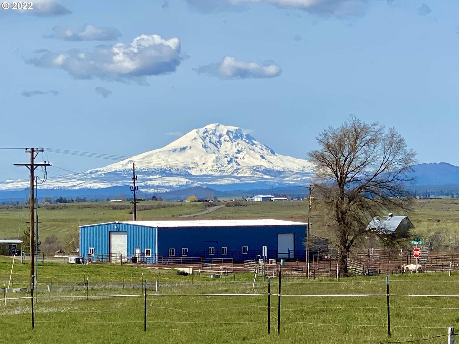 104 Wing Road Goldendale, WA 98620 - Photo 5 of 18 Gallery Image 5