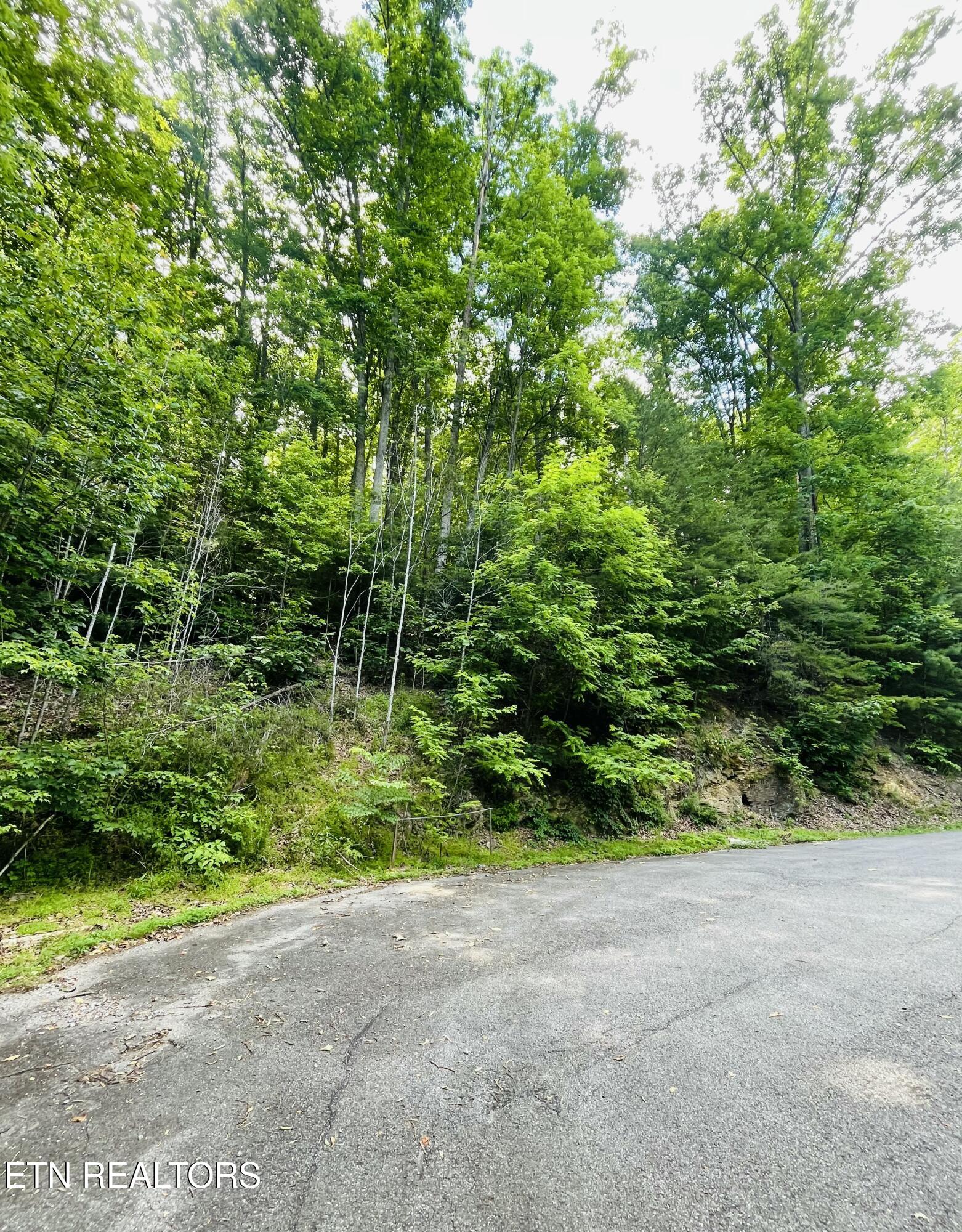 Redtail Road Sevierville, TN 37862 - Photo 3 of 5 Lot 70E