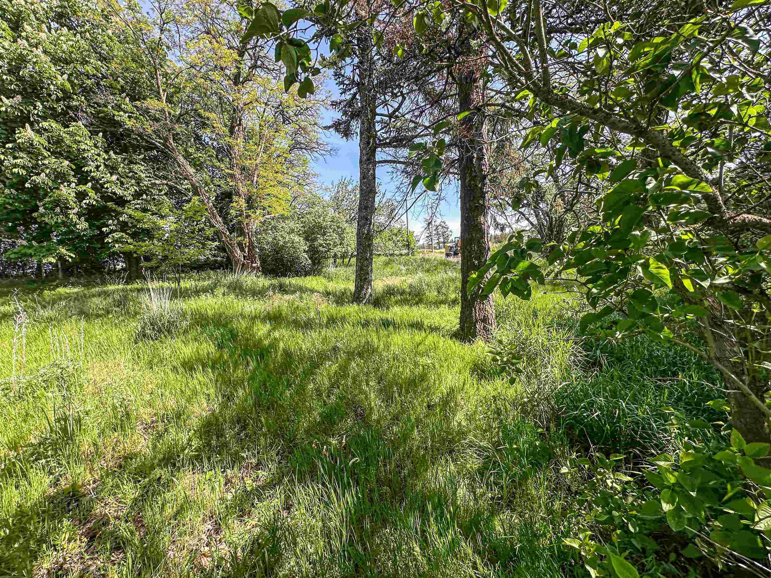 5412 East Jamieson Road Spokane, WA 99223 - Photo 14 of 15