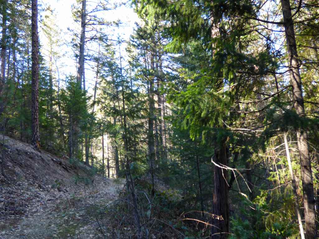 0 Greenhorn Road Yreka, CA 96097 - Photo 13 of 17 Gallery Image 13