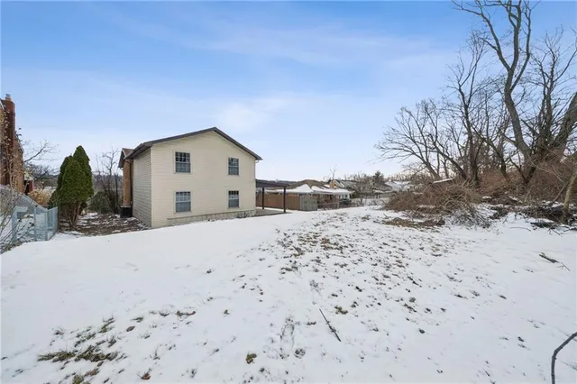 a view of a dry yard with large tree