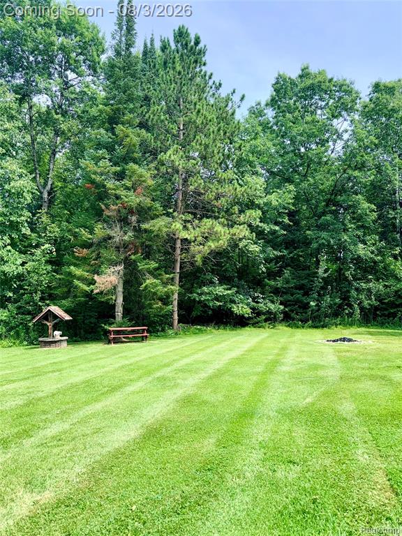 2830 River Ridge Road Alger, MI 48610 - Photo 23 of 32 Gallery Image 23