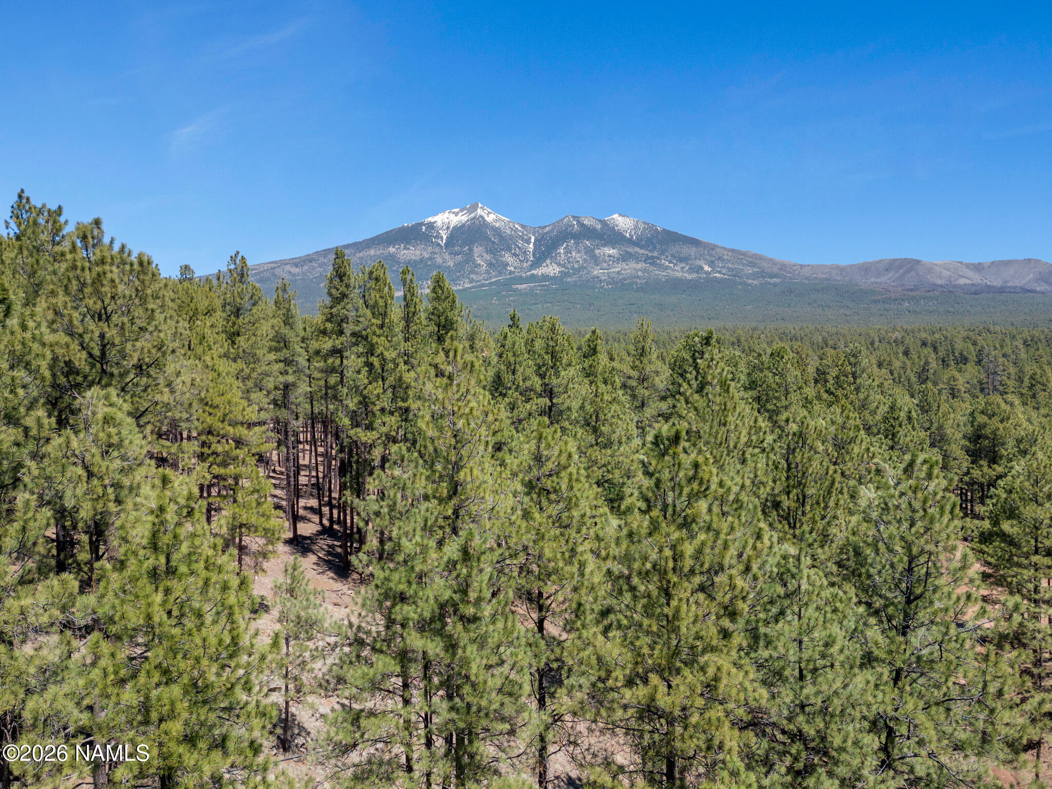 5216 Hidden Hollow Road Flagstaff, AZ 86001 - Photo 1 of 11 a view of a field with a tree in the background