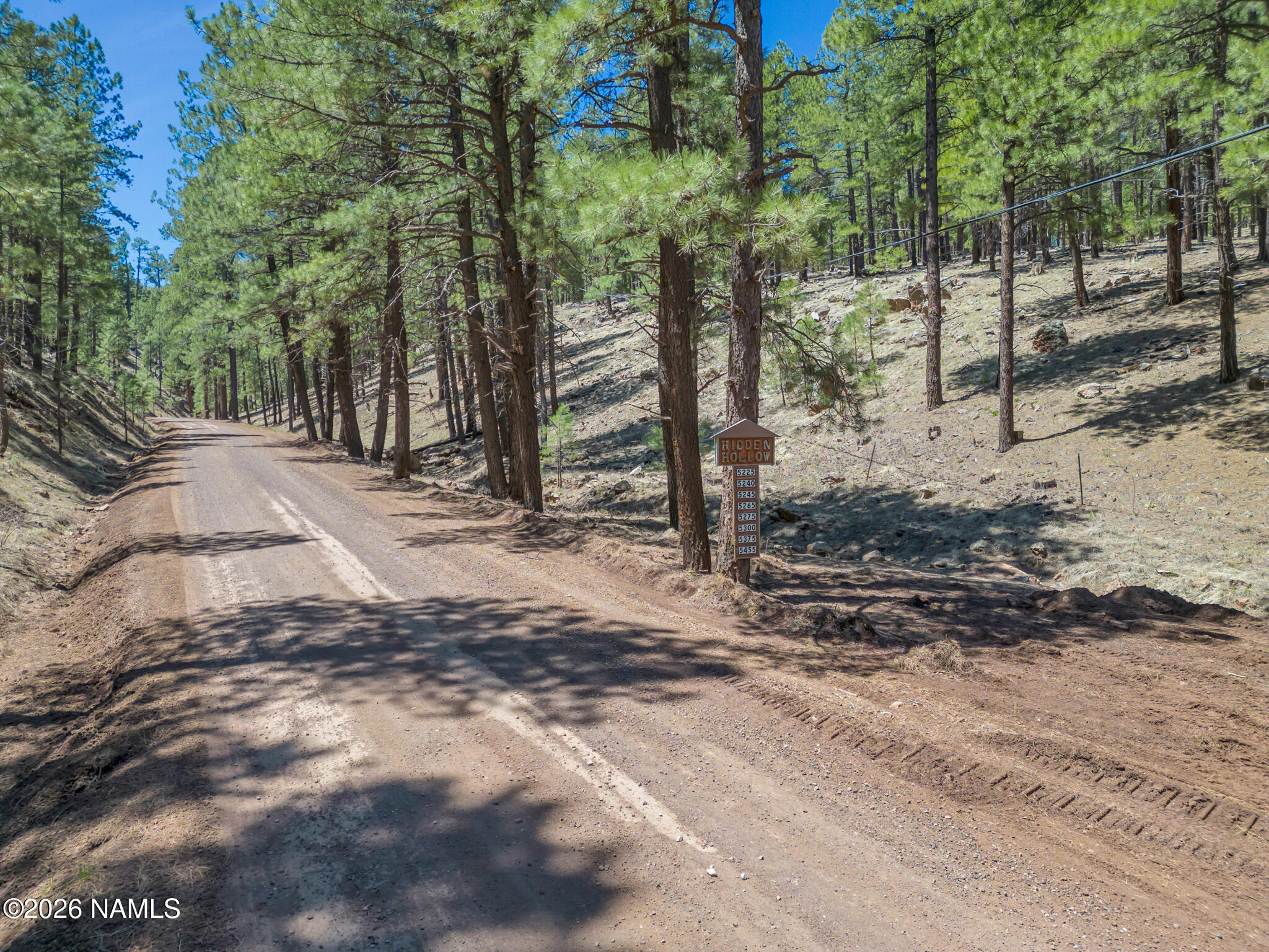 5216 Hidden Hollow Road Flagstaff, AZ 86001 - Photo 3 of 11 a view of a yard with plants and trees