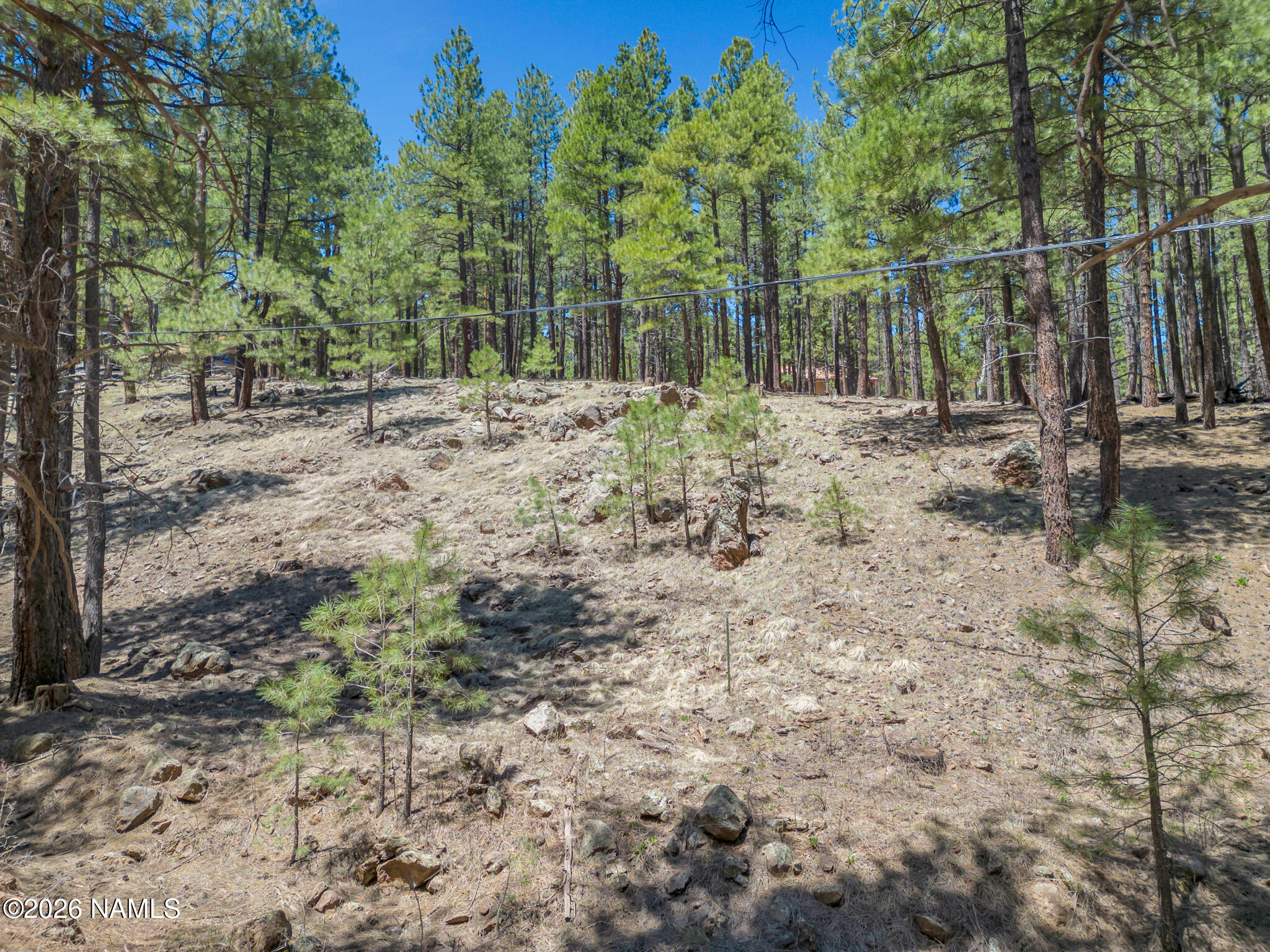 5216 Hidden Hollow Road Flagstaff, AZ 86001 - Photo 5 of 11 a view of outdoor space with trees