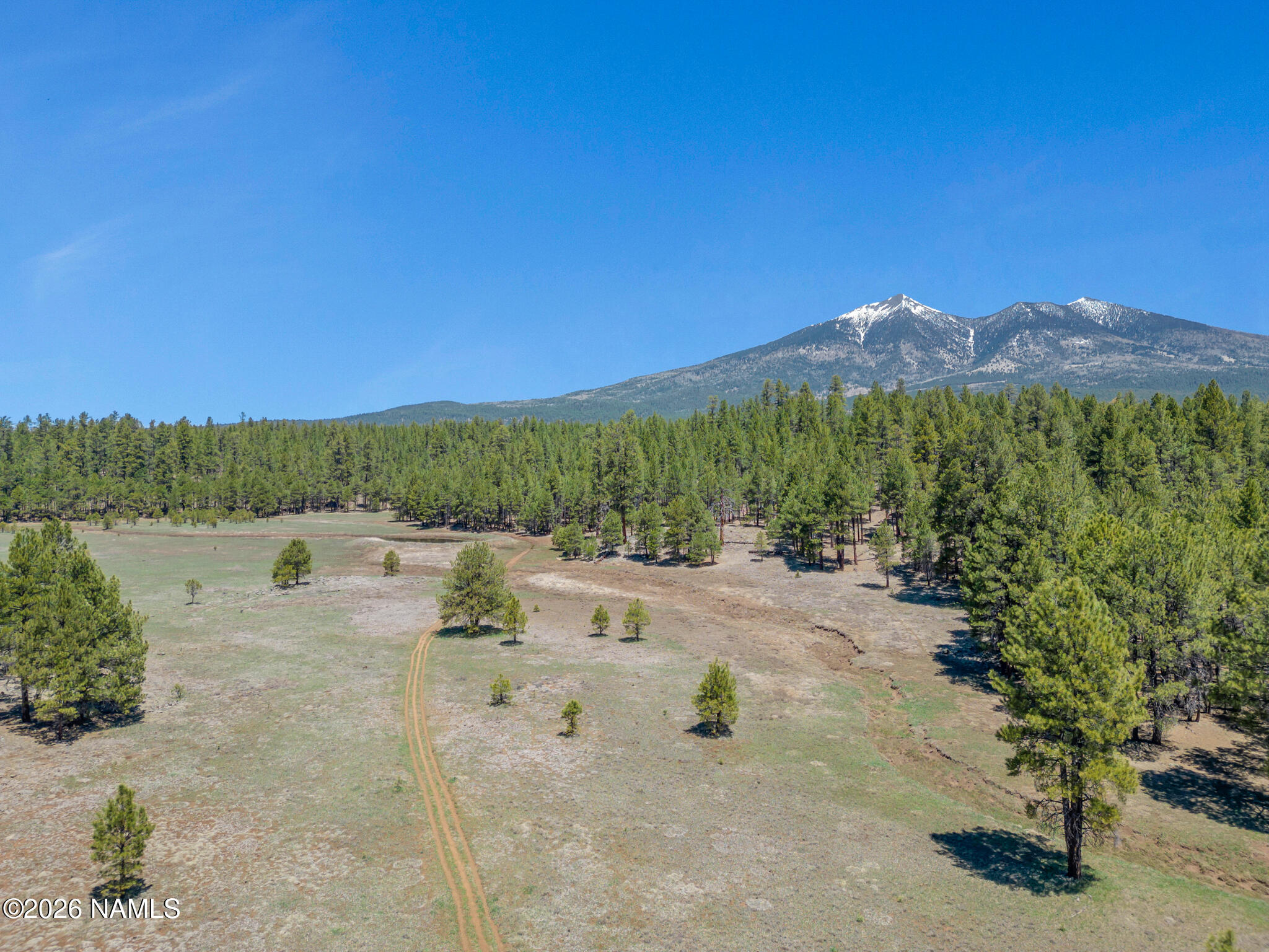 5216 Hidden Hollow Road Flagstaff, AZ 86001 - Photo 6 of 11 a view of a yard with a table and chairs