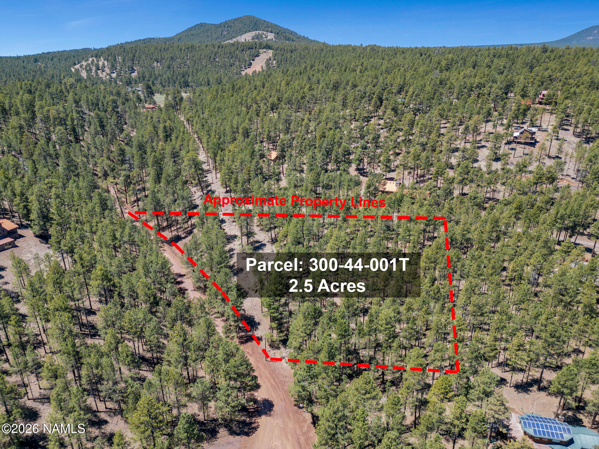 5216 Hidden Hollow Road Flagstaff, AZ 86001 - Photo 8 of 11 a view of city and flowers