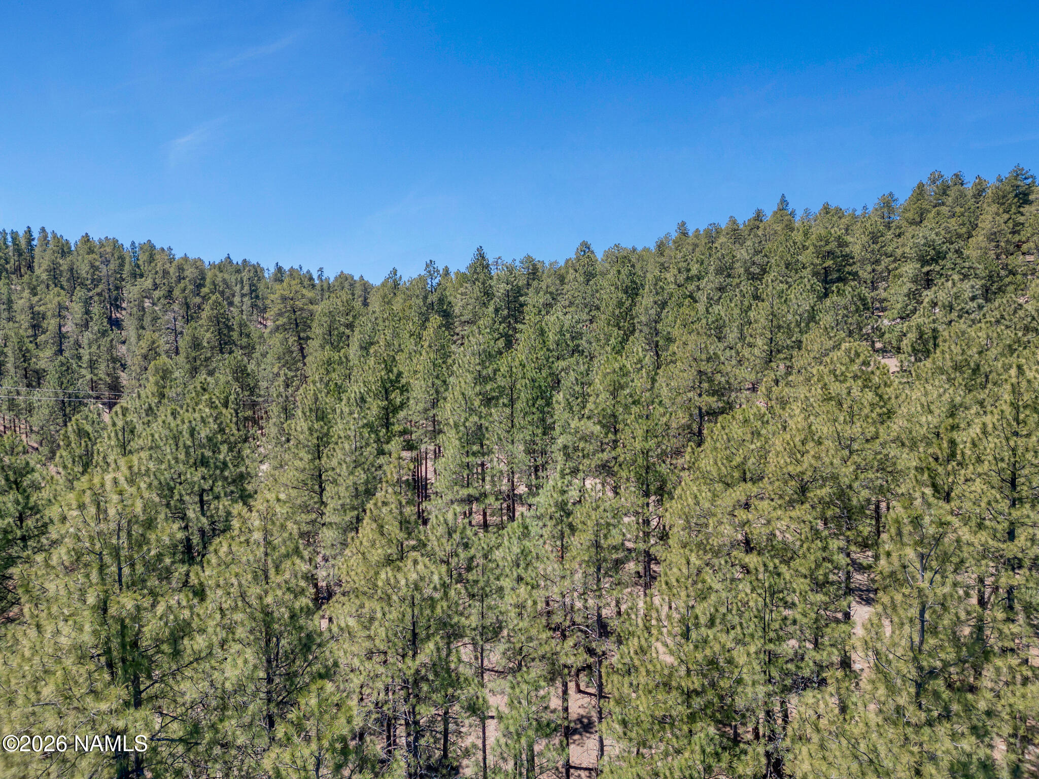 5216 Hidden Hollow Road Flagstaff, AZ 86001 - Photo 10 of 11 a view of a city with lush green forest
