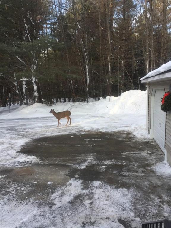 116 Barron Road Embden, ME 04958 - Photo 28 of 30 Photo