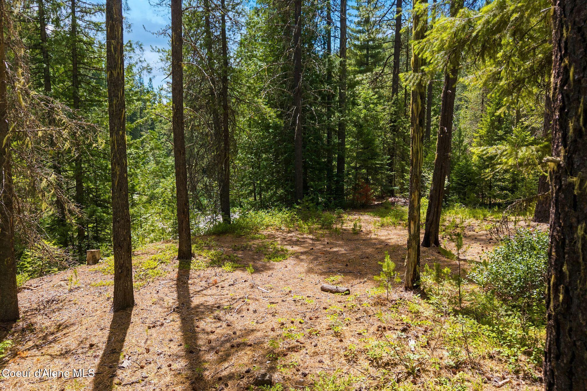 Nna Lantern Lane Sandpoint, ID 83864 - Photo 6 of 29 18_DJI_20260703034756_0855_D