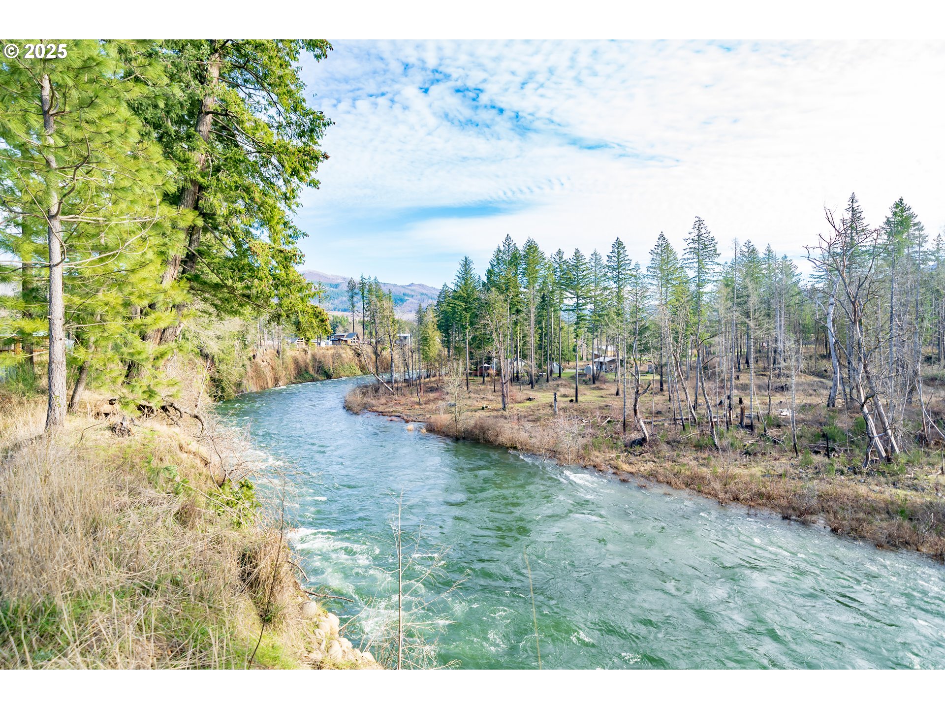 215 Dogwood Drive Gates, OR 97346 - Photo 3 of 24