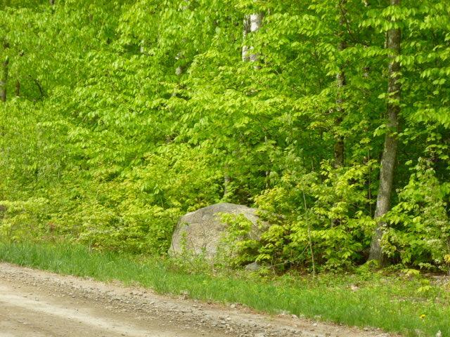 Lot 5 Nicolin Road Ellsworth, ME 04605 - Photo 10 of 11 Photo