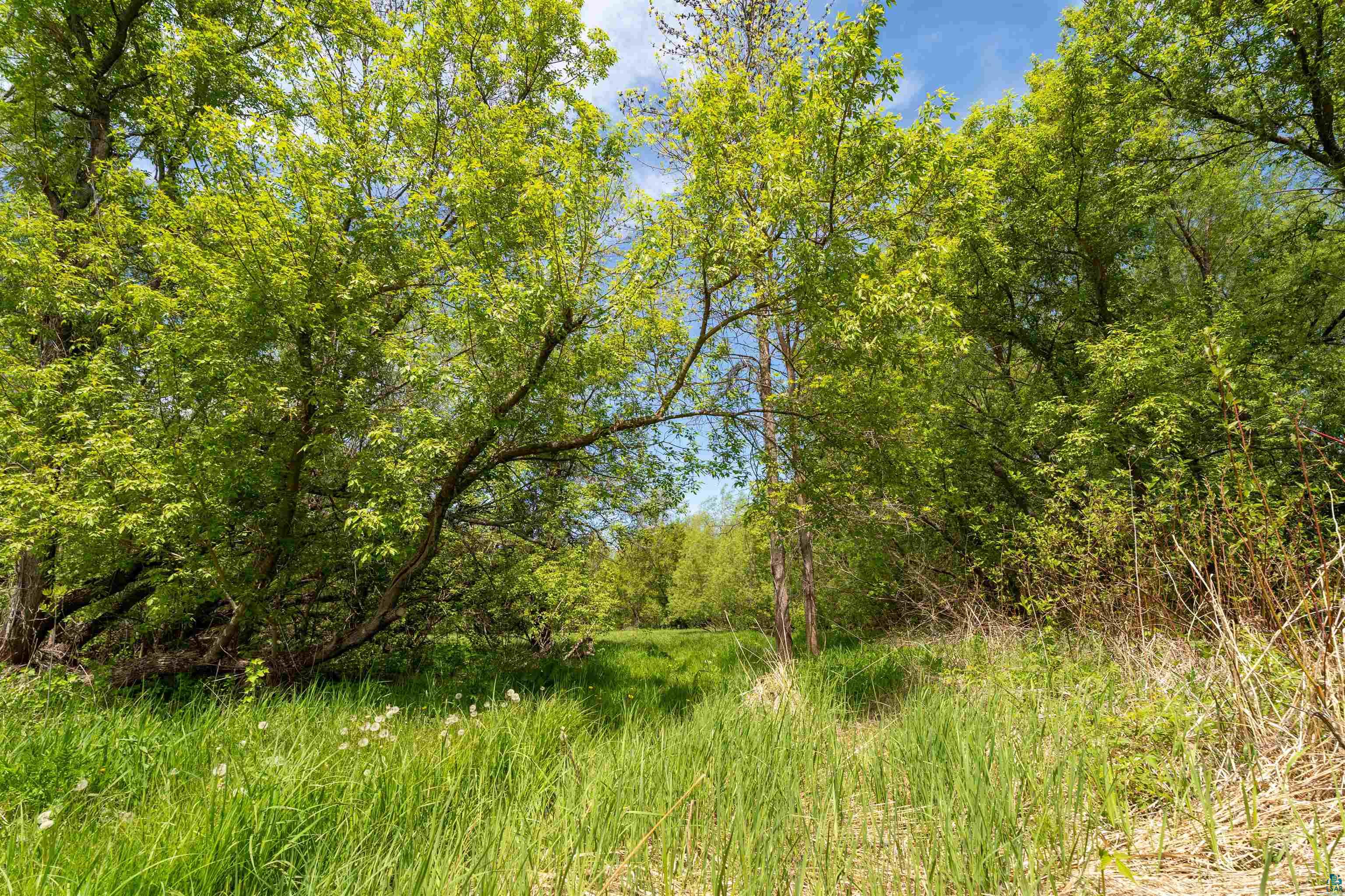 10550 Flagg River Road Port Wing, WI 54865 - Photo 6 of 10