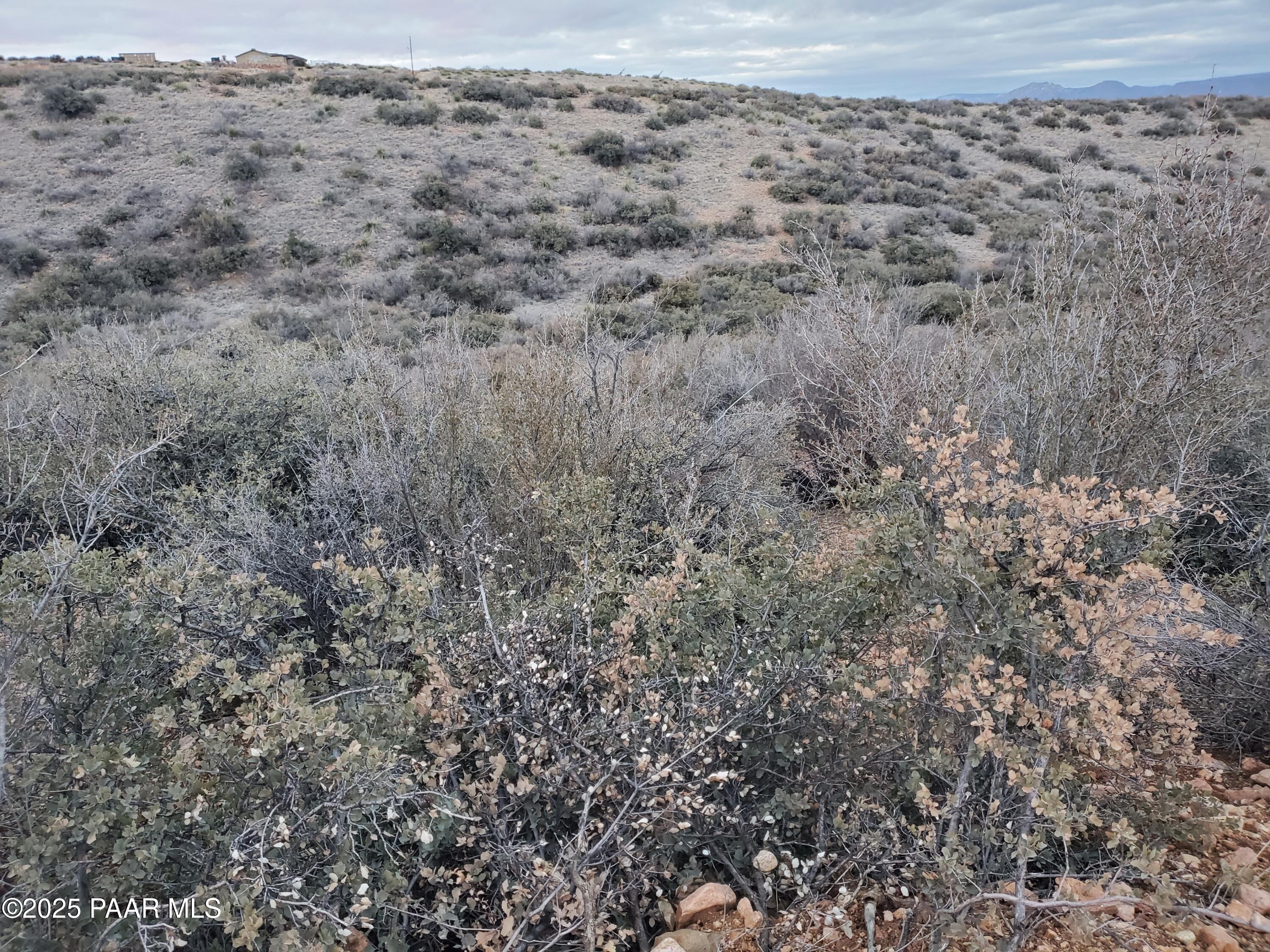 9790 East Antrim Road Dewey-Humboldt, AZ 86327 - Photo 3 of 12 20210316_184131