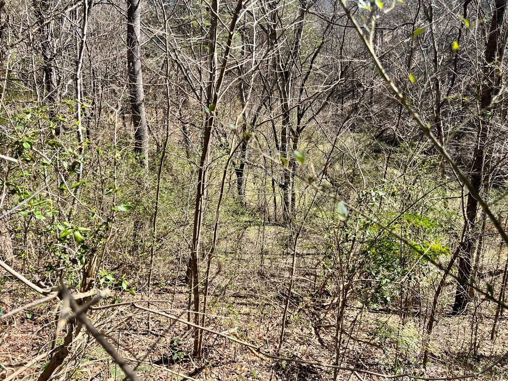 1017 Goose Gap Road Sevierville, TN 37876 - Photo 10 of 10 Gallery Image 10