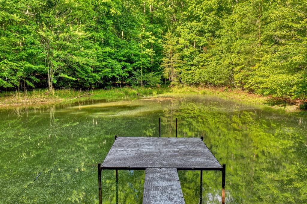 8.52 Ac Mcnelley Road Morganton, GA 30560 - Photo 4 of 47