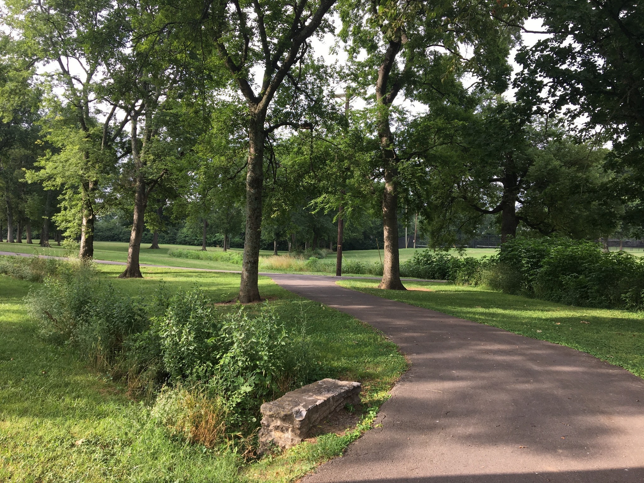 533 Midnight Way Nashville, TN 37209 - Photo 31 of 42