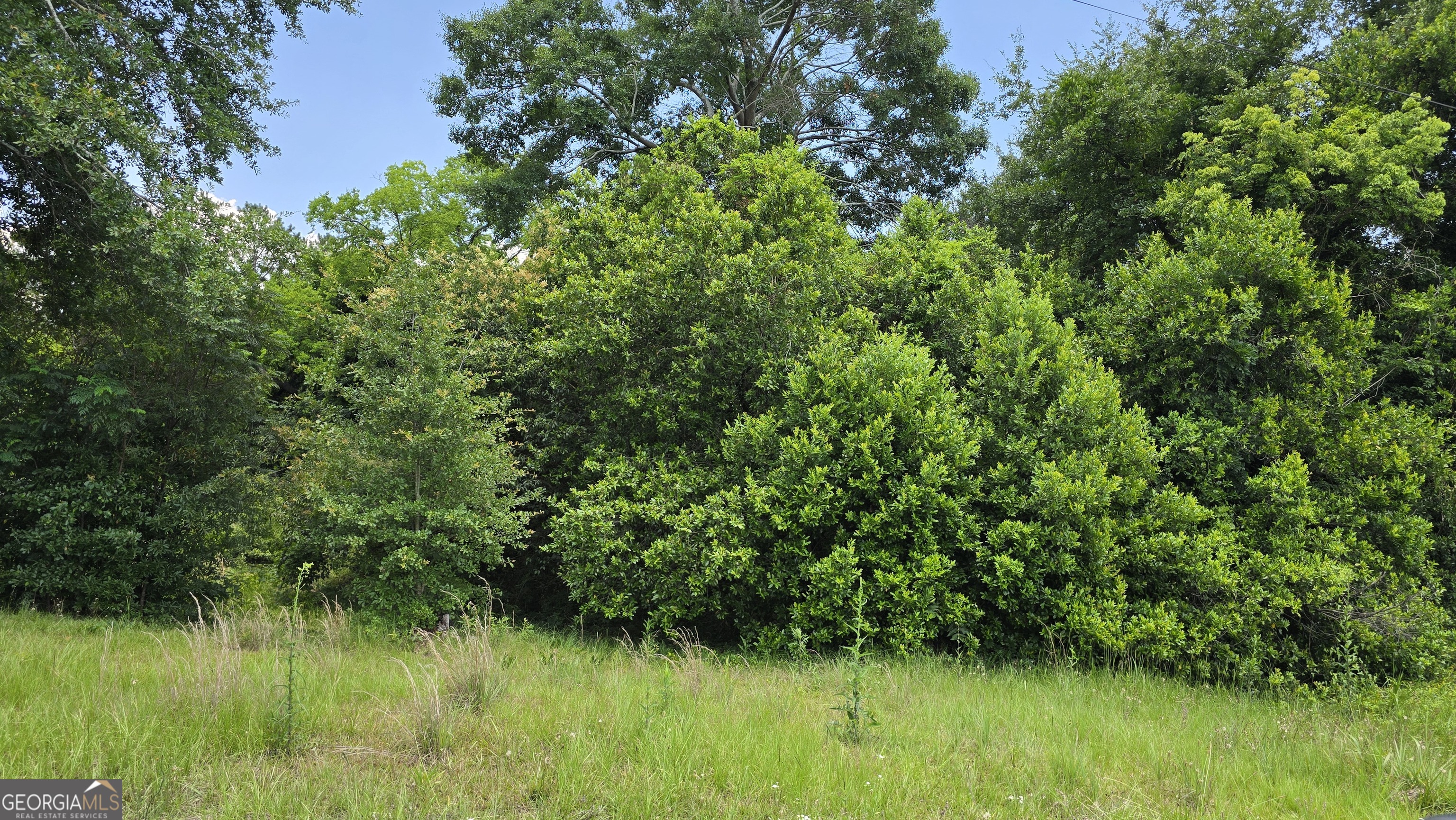 3328 Rice Mill Road Macon, GA 31206 - Photo 3 of 6