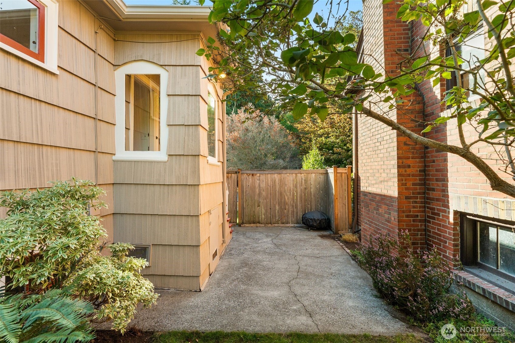 8606 29th Avenue Northwest Seattle, WA 98117 - Photo 26 of 33 a view of a back yard of the house