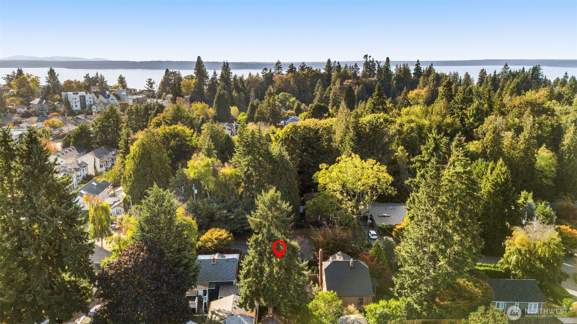 8606 29th Avenue Northwest Seattle, WA 98117 - Photo 30 of 33