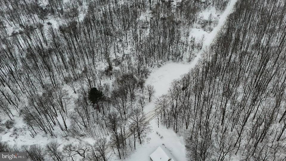 0 Shrawder Mountain Road Starrucca, PA 18462 - Photo 7 of 21 Gallery Image 7