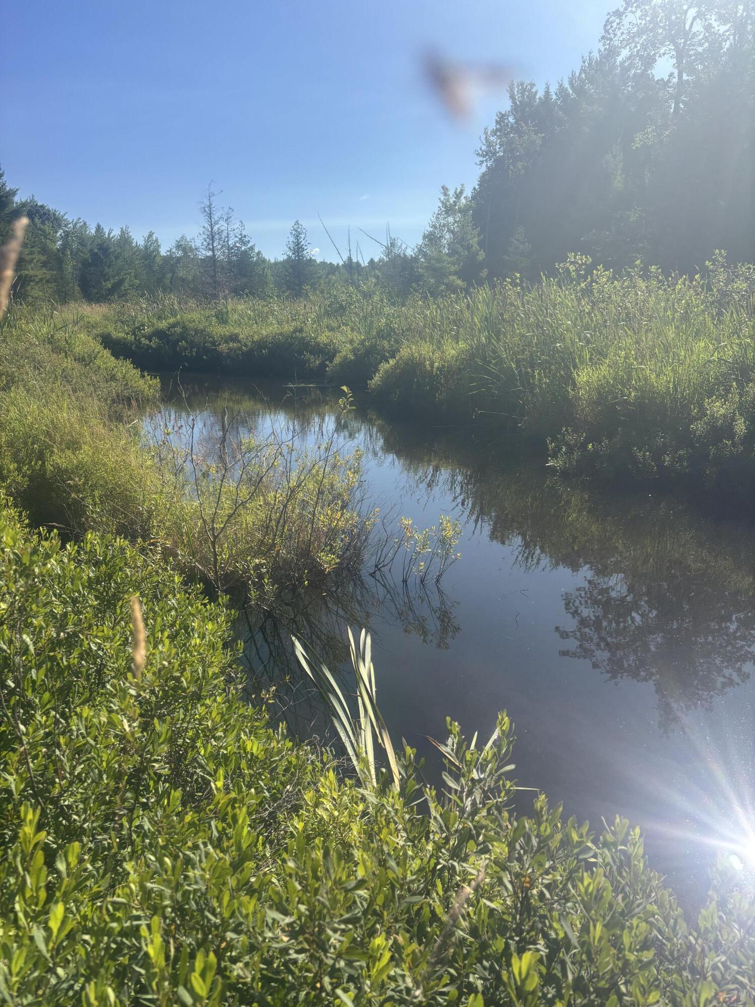 Map5-lot53 Bangor Road Troy, ME 04987 - Photo 2 of 11 IMG_7741