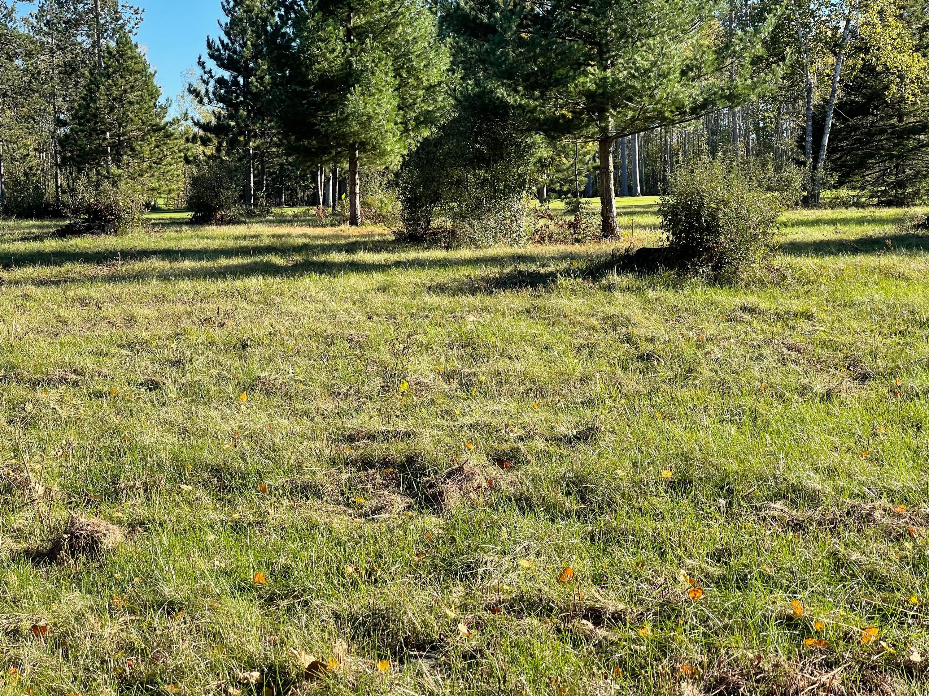 Unit #4 East Sucker Creek Road Spruce, MI 48762 - Photo 1 of 19 Gallery Image 1