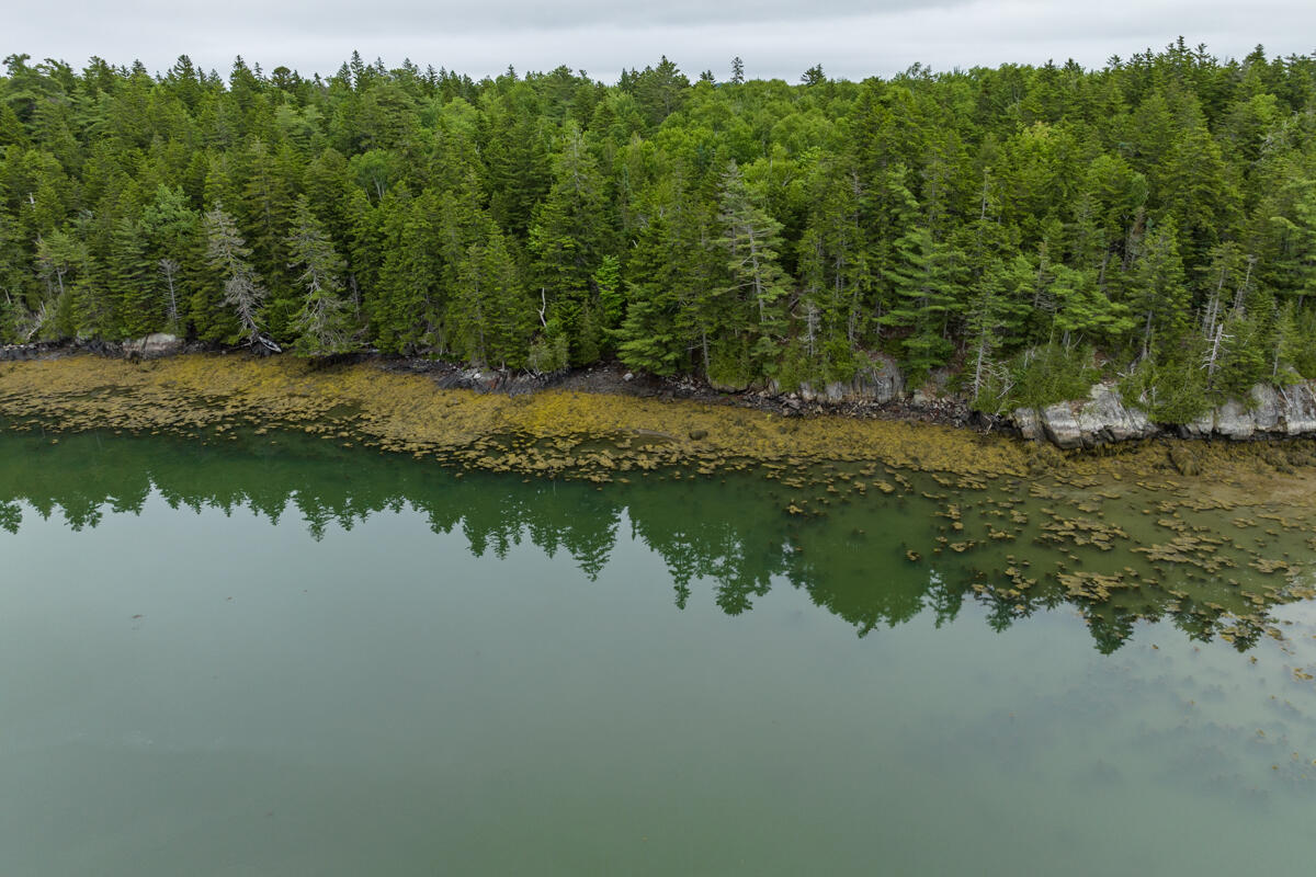 Lot 27 Coffins Neck Road Lubec, ME 04652 - Photo 8 of 27 23-Lot 27 Coffins Neck Road LoRes-DTP
