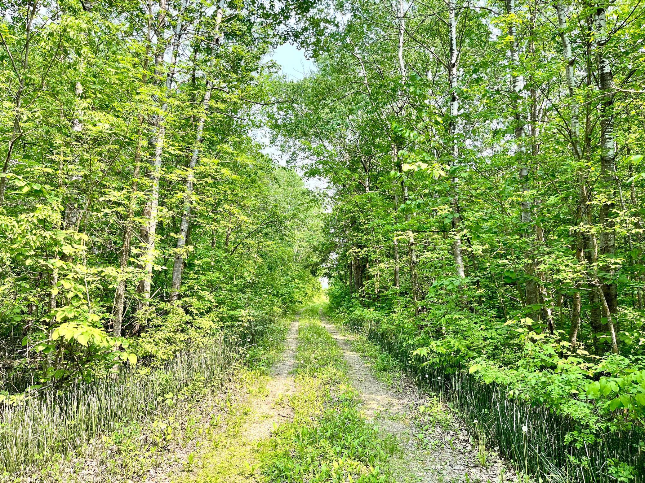 37551 County Road 126 Rochert, MN 56578 - Photo 3 of 10