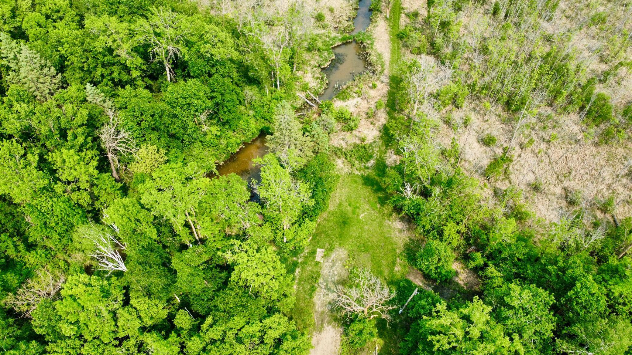 37551 County Road 126 Rochert, MN 56578 - Photo 4 of 10