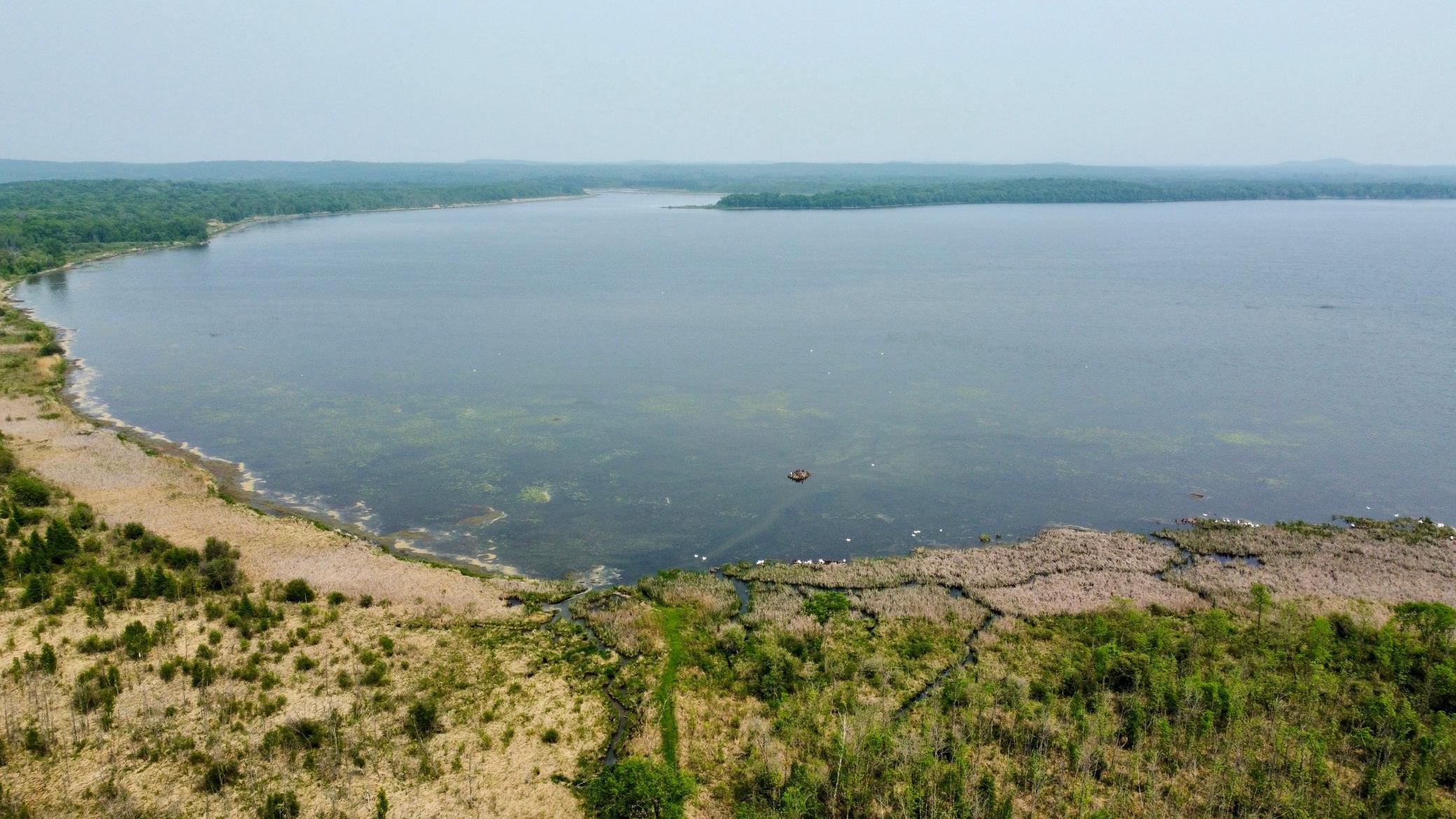 37551 County Road 126 Rochert, MN 56578 - Photo 5 of 10