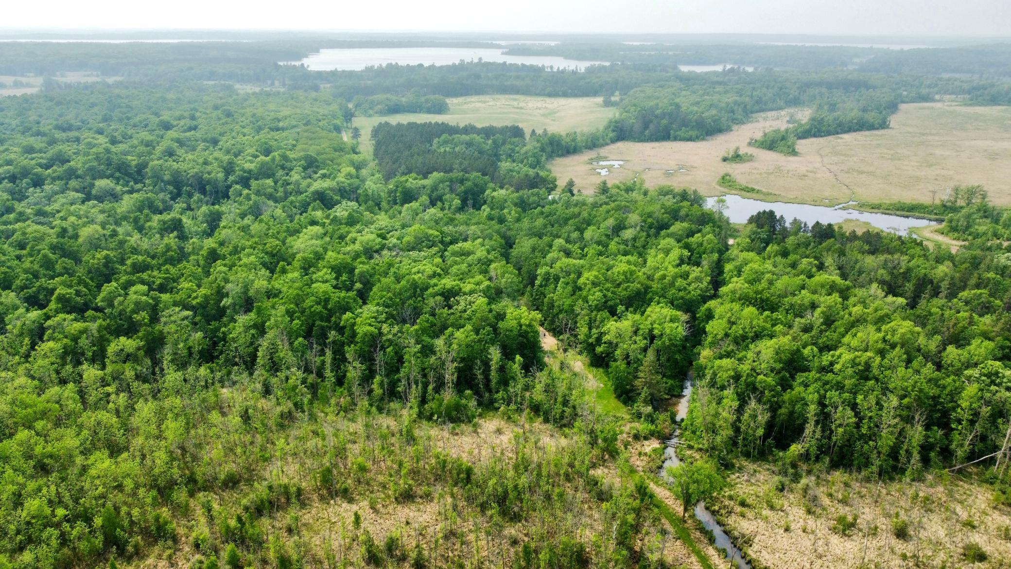 37551 County Road 126 Rochert, MN 56578 - Photo 6 of 10